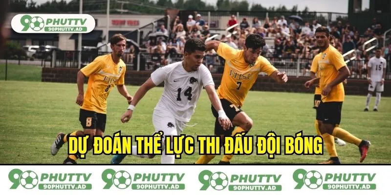 Dự đoán thể lực thi đấu đội bóng